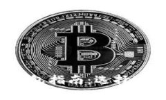 2019年比特币钱包指南：选