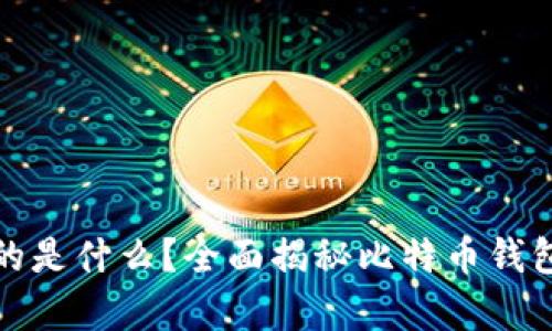比特币钱包保存的是什么？全面揭秘比特币钱包的功能与安全性