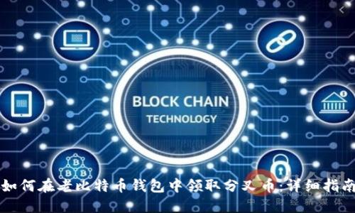 如何在老比特币钱包中领取分叉币：详细指南