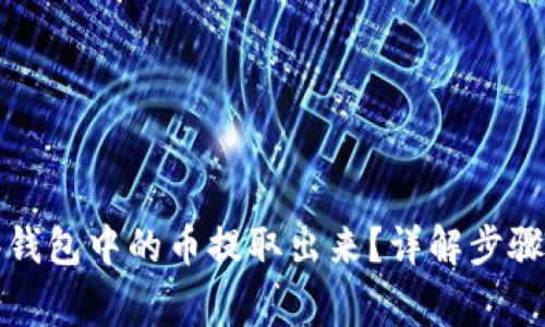 如何将观察钱包中的币提取出来？详解步骤与常见问题