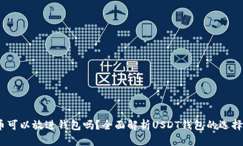 USDT币可以放进钱包吗？全面解析USDT钱包的选择与使用