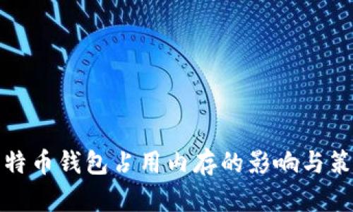比特币钱包占用内存的影响与策略