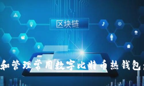如何选择和管理常用数字比特币热钱包：详尽指南