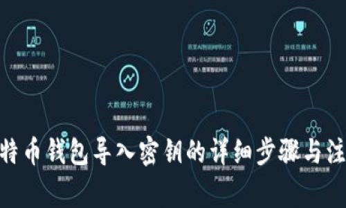 Mac比特币钱包导入密钥的详细步骤与注意事项