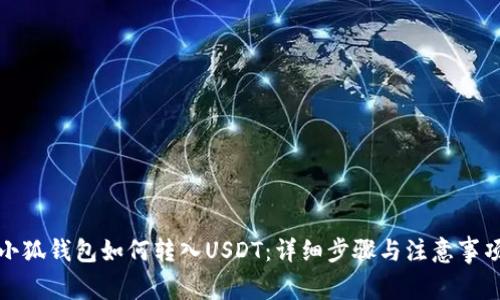 小狐钱包如何转入USDT：详细步骤与注意事项