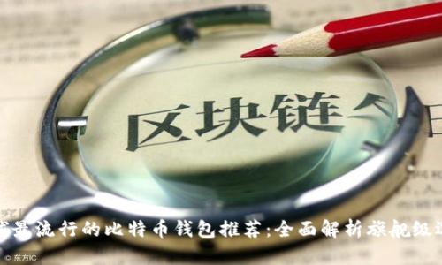 全球最流行的比特币钱包推荐：全面解析旗舰级选择