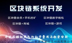 开发区块链钱包的初步费