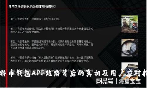 比特币钱包APP跑路背后的真相及用户应对指南