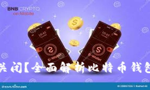 比特币钱包是否会关闭？全面解析比特币钱包的可靠性与安全性