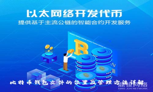 比特币钱包文件的位置及管理方法详解