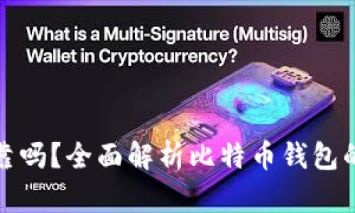 比特币钱包可靠吗？全面解析比特币钱包的安全性与选择