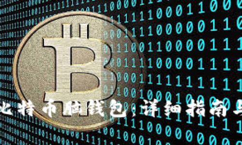 如何下载比特币脑钱包：详细指南与注意事项