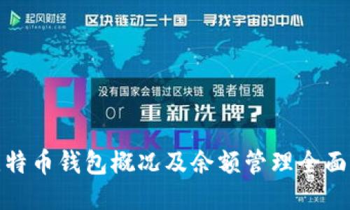 : 比特币钱包概况及余额管理全面指南