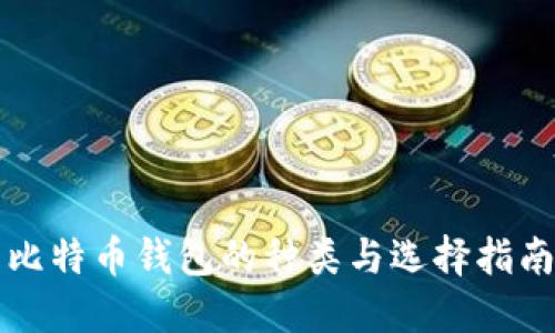 比特币钱包的种类与选择指南