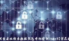如何查看比特币数据钱包中的密钥（Key）？详尽