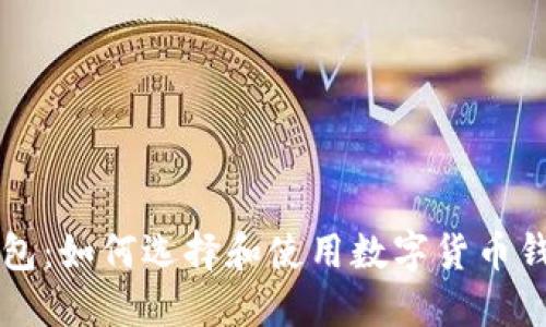 比特币快钱钱包：如何选择和使用数字货币钱包的全面指南