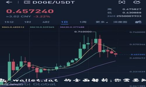 比特币钱包 wallet.dat 的全面解析：你需要知道的一切