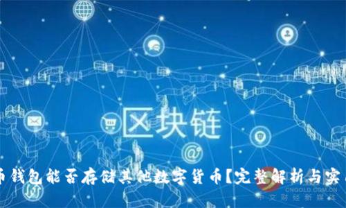 比特币钱包能否存储其他数字货币？完整解析与实用指南
