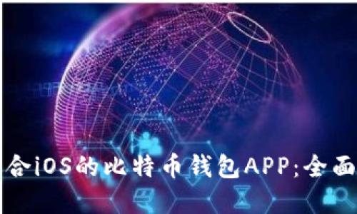如何选择适合iOS的比特币钱包APP：全面攻略与推荐
