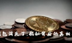 比太钱包消失了：揭秘背