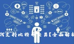 苹果钱包如何支持比特币
