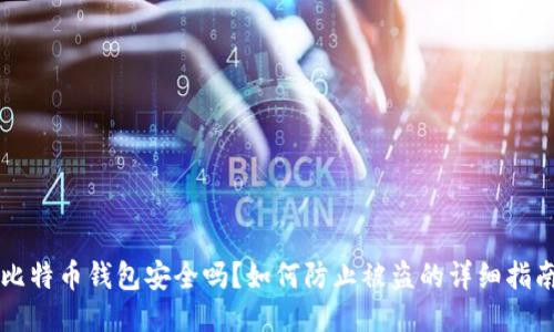 比特币钱包安全吗？如何防止被盗的详细指南