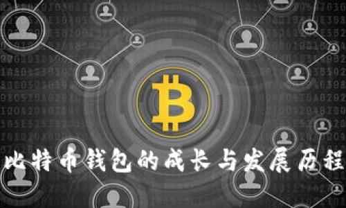 比特币钱包的成长与发展历程