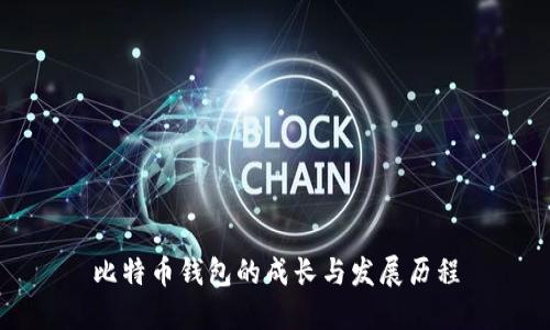 比特币钱包的成长与发展历程