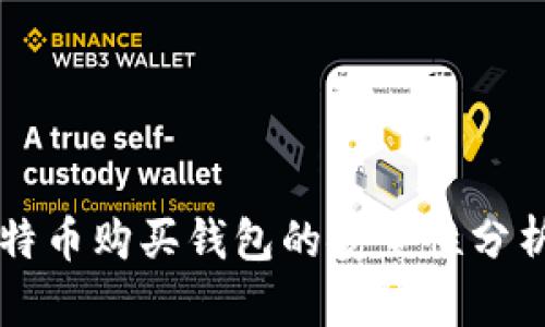网上比特币购买钱包的安全性分析与评估