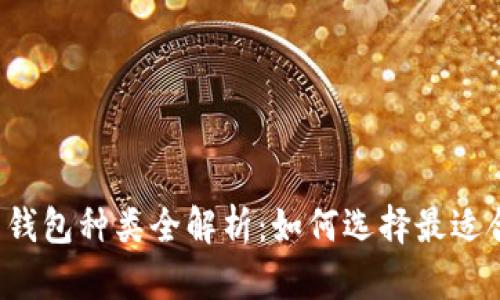 比特币电子钱包种类全解析：如何选择最适合你的钱包？