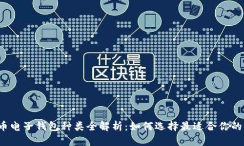 比特币电子钱包种类全解析：如何选择最适合你的钱包？