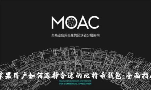苹果用户如何选择合适的比特币钱包：全面指南