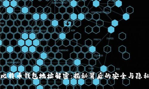 比特币钱包地址解密：揭秘背后的安全与隐私
