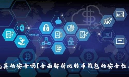 比特币钱包真的安全吗？全面解析比特币钱包的安全性与保护措施