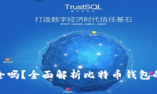 比特币钱包真的安全吗？全面解析比特币钱包的安全性与保护措施