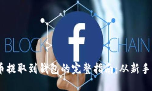 SHIB币提取到钱包的完整指南：从新手到高手