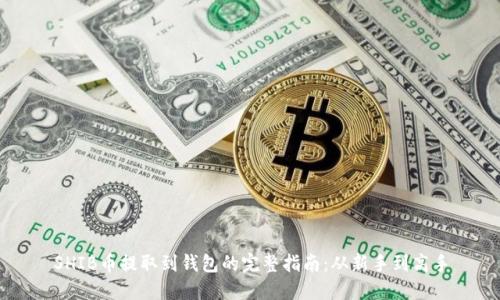 SHIB币提取到钱包的完整指南：从新手到高手