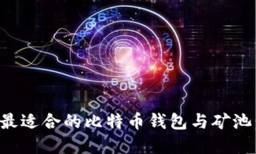如何选择最适合的比特币钱包与矿池：全面指南