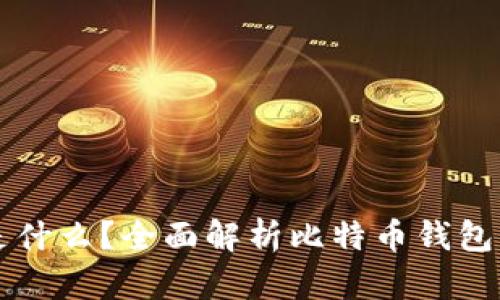 比特币钱包是什么？全面解析比特币钱包的功能和类型