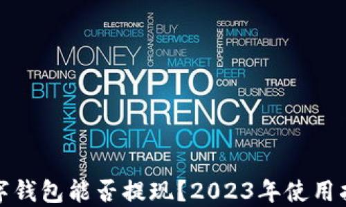 
数字钱包能否提现？2023年使用指南