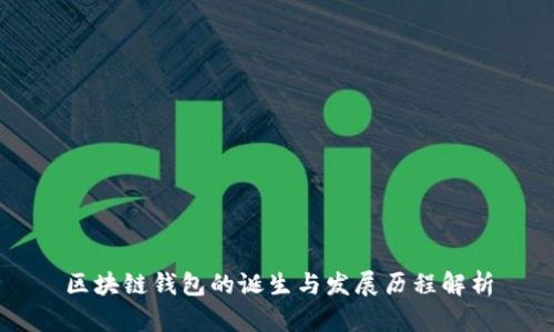 区块链钱包的诞生与发展历程解析