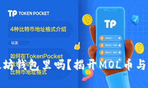 MOL币能提到以太坊钱包里吗？揭开MOL币与以太坊钱包的关系