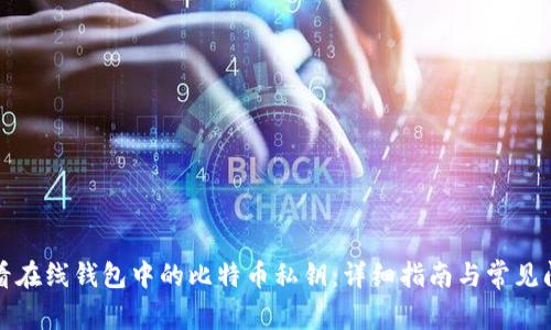 如何查看在线钱包中的比特币私钥：详细指南与常见问题解答