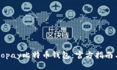 如何使用Copay比特币钱包：官方指南与实用技巧