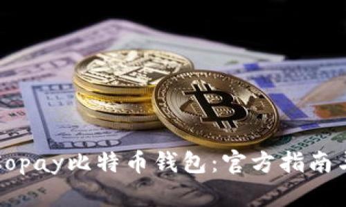 如何使用Copay比特币钱包：官方指南与实用技巧