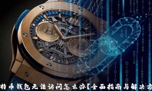比特币钱包无法访问怎么办?全面指南与解决方案