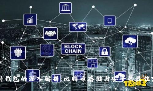 软件钱包的深入解析：比特币存储与安全的最佳实践