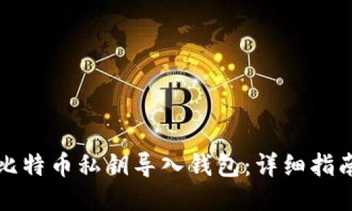 如何将比特币私钥导入钱包：详细指南与提示