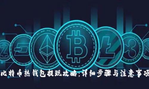 比特币热钱包提现攻略：详细步骤与注意事项