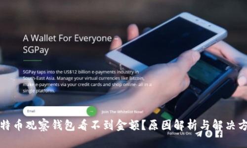 比特币观察钱包看不到金额？原因解析与解决方案